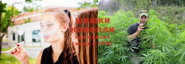 прущий лед Гатчина