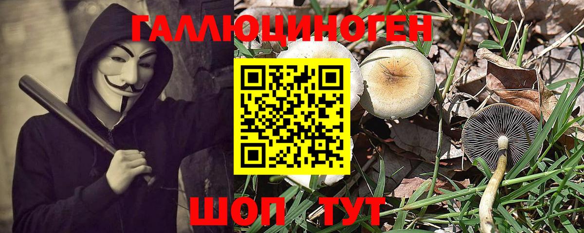 Псилоцибиновые грибы прущие грибы Анжеро-Судженск