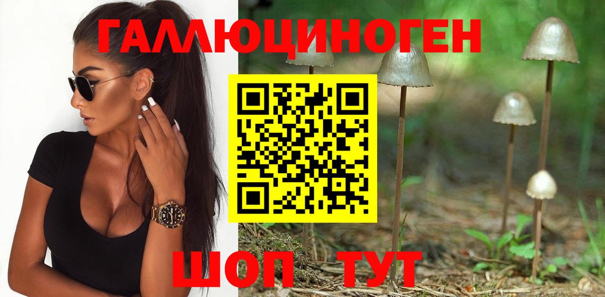 Псилоцибиновые грибы Cubensis  Галлюциногенные грибы ЛСД  Анжеро-Судженск 