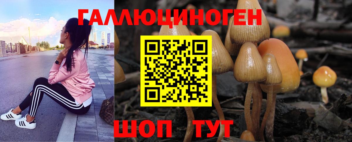 Псилоцибиновые грибы прущие грибы Анжеро-Судженск